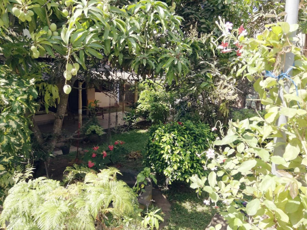 Nisadi Villa Bentota Kültér fotó